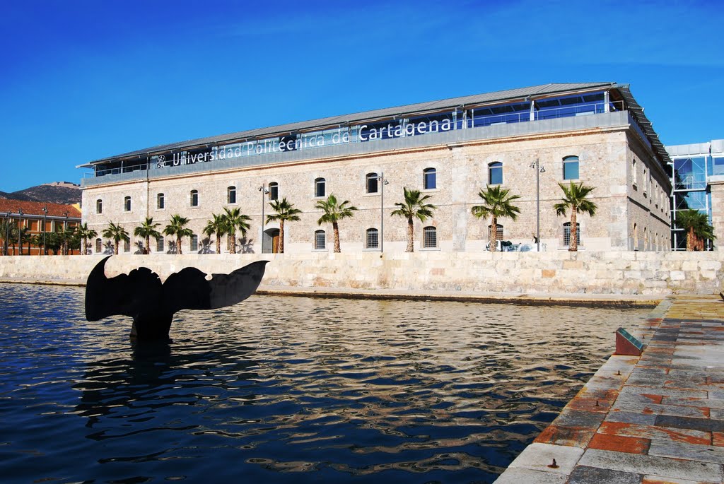 Polytechnic University of Cartagena (UPCT)